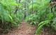 Delicia Road Conservation Park - thumb 0