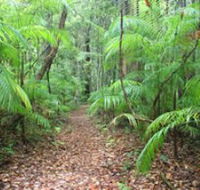 Delicia Road Conservation Park - Attractions