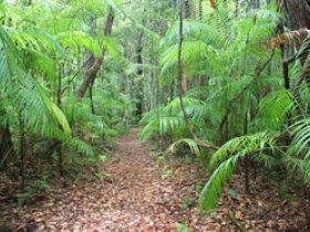 Delicia Road Conservation Park - Attractions 0