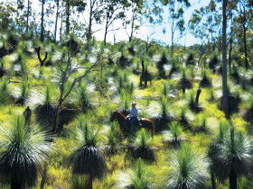 Oakview QLD Attractions