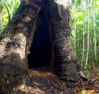 Tewantin National Park - Attractions