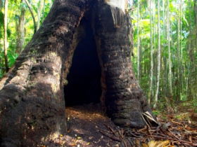 Tewantin National Park - Attractions 0