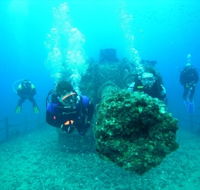 Ex-HMAS Brisbane Conservation Park - Attractions