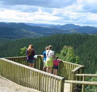 Kenilworth Forest Reserve - Attractions