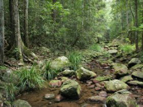Amamoor QLD Attractions