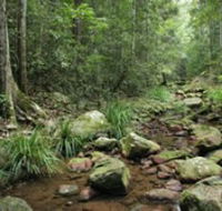 Amamoor State Forest - Attractions