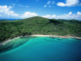Noosa Heads Coastal Track - Attractions 0
