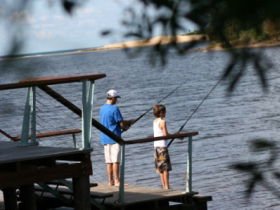 Currimundi Lake (Kathleen McArthur) Conservation Park - Attractions 0