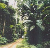 Conondale Great Walk - Attractions