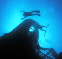 Ex HMAS Brisbane Dive Site - Attractions