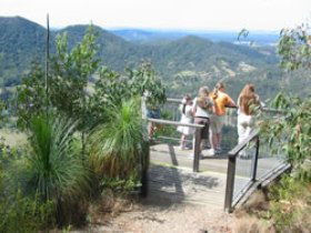 Mapleton Forest Reserve - Attractions 0