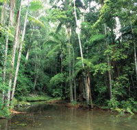 Mount Allan Trail - Attractions