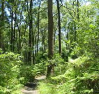Mapleton Falls National Park - Attractions
