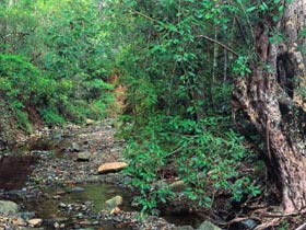 Mudlo National Park - Attractions 0
