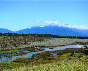 Eubenangee Swamp National Park - Attractions 0