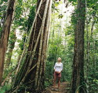Wet Tropics - Attractions