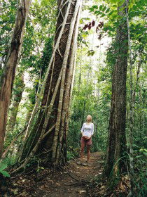 Wet Tropics - Attractions 0