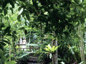 Flecker Botanic Gardens - Attractions 0