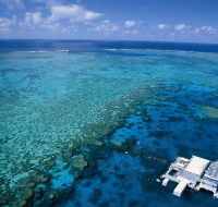 Agincourt Reef - Attractions