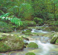 Mossman Gorge Daintree National Park - Attractions