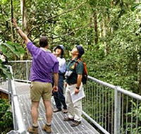 Daintree Discovery Centre - Attractions