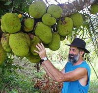 Cape Trib Exotic Fruit Farm - Attractions