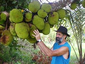 Cape Trib Exotic Fruit Farm - Attractions 0