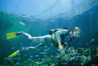 Tijou Reef