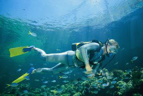 Tijou Reef - Attractions 0