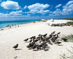 Michaelmas And Upolo Cays National Park - Attractions 0