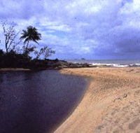 Russell River National Park - Attractions