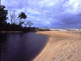 Russell River National Park - Attractions 0