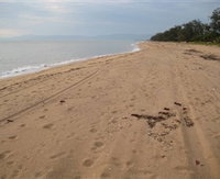 Book Ingham Accommodation Vacations Attractions Attractions