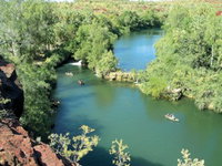 Wild Dog Dreaming Boodjamulla Lawn Hill National Park