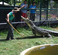 Snakes Downunder Reptile Park and Zoo - Attractions