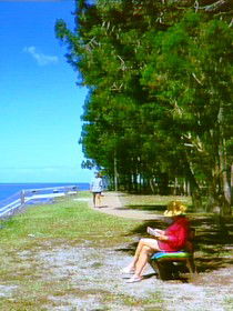 Melaleuca Track - Attractions 0