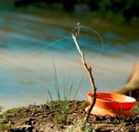 Charleville - Mangalore Warrego River Fishing Spot - Attractions