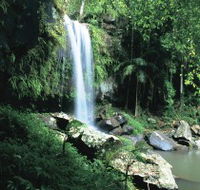 Curtis Falls Joalah Section - Attractions