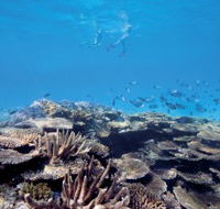 Australian Institute of Marine Science - Attractions