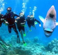 Gotham City Dive Site - Attractions