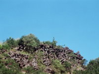 Book Thangool Accommodation Vacations Attractions Attractions