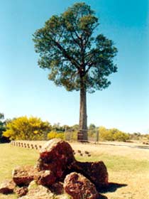 Cunnamulla QLD Attractions