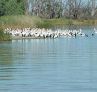 Lake Ross - Attractions