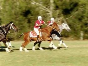 Morgan Park - Attractions 0