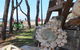 Broadbeach Beachfront Markets - thumb 3