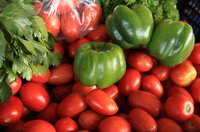 Coolangatta Beachfront Markets