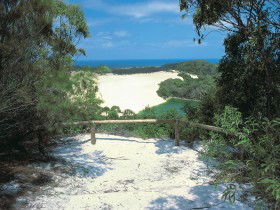 Lake Wabby Track - Attractions 0