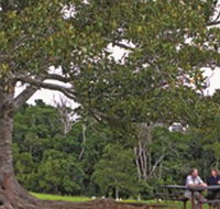 Ravensbourne National Park - Attractions