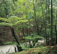 Fraser Island Great Walk - Attractions