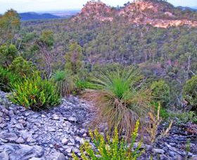 Broadmere QLD Attractions